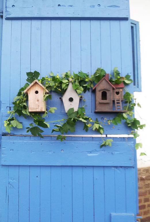 Au Petit Tambour D'autingues Bed & Breakfast