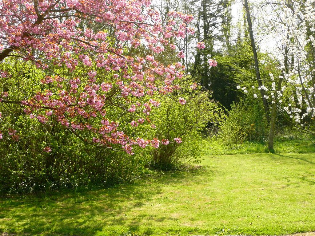 Au Petit Tambour D'autingues